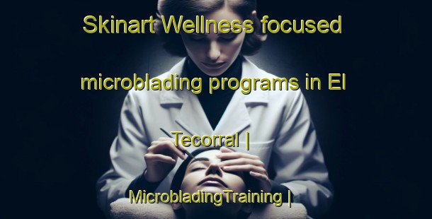 Skinart Wellness-focused microblading programs in El Tecorral | MicrobladingTraining | MicrobladingClasses | SkinartTraining-Mexico